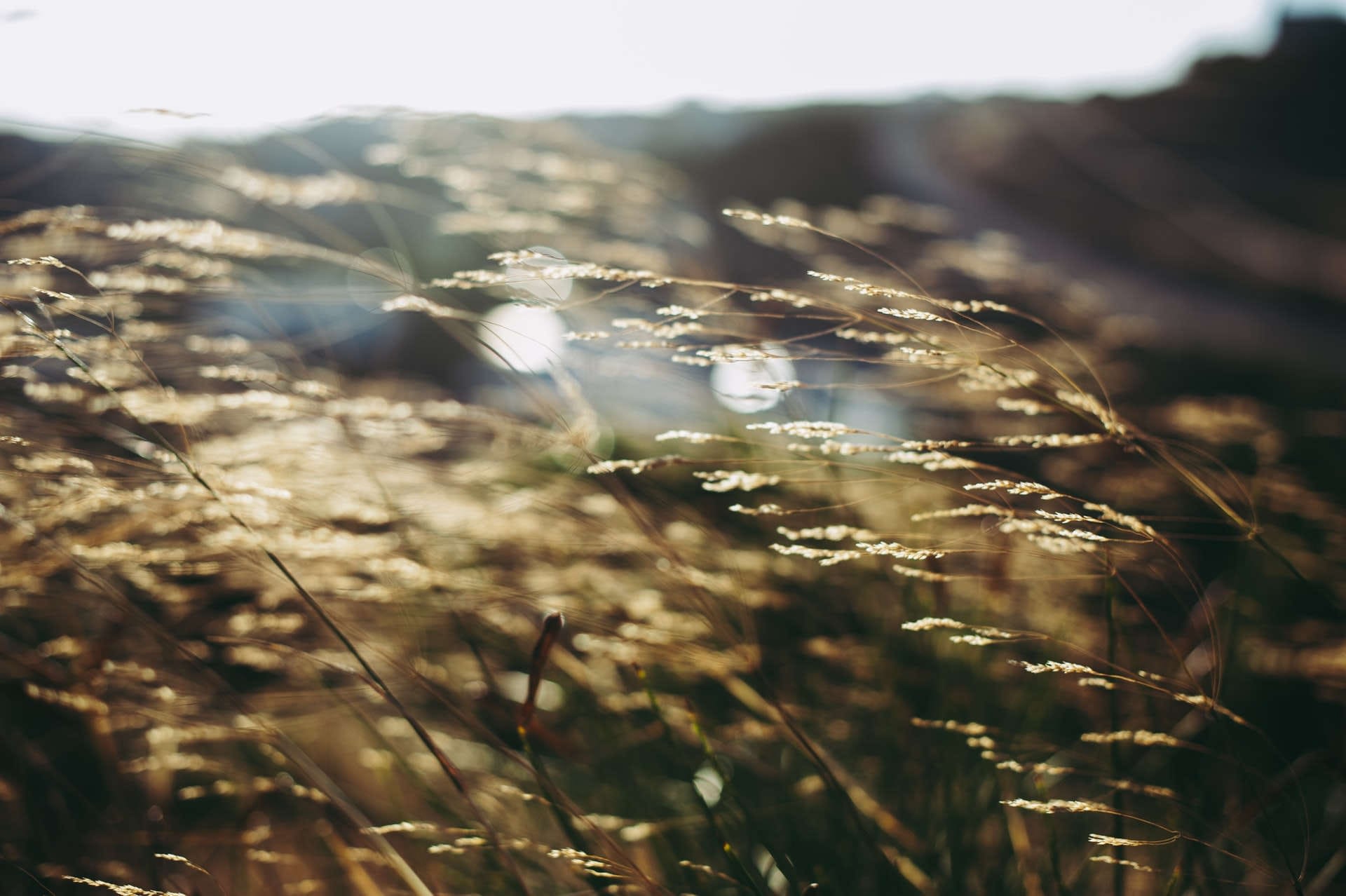 mindfulness filosofia